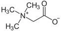 product-124-64